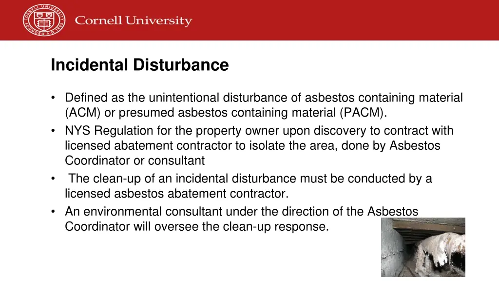 incidental disturbance