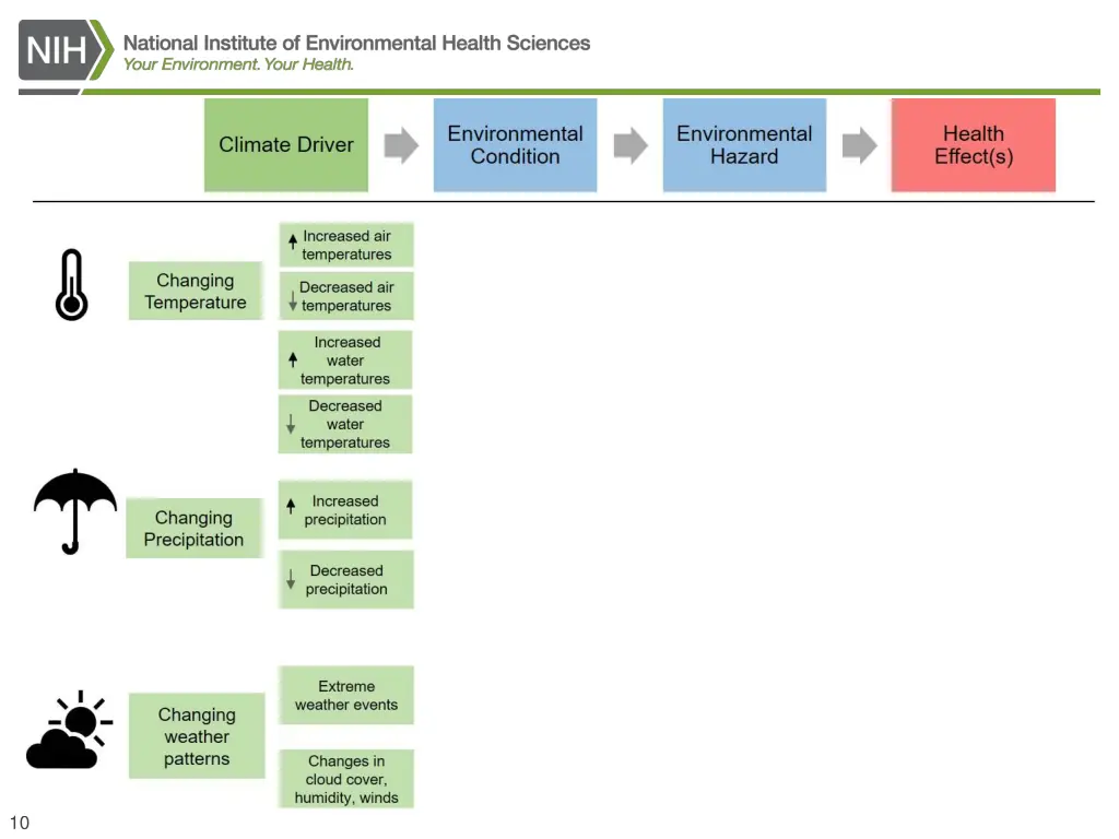 national institutes of health 1