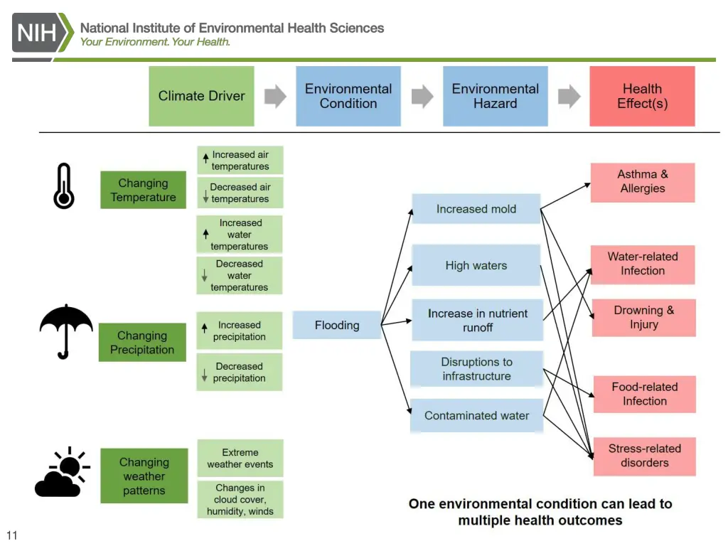 national institutes of health 2