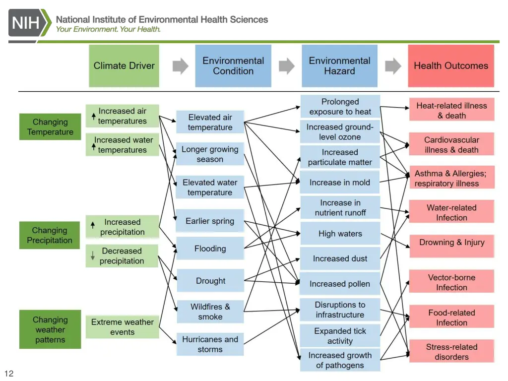 national institutes of health 3