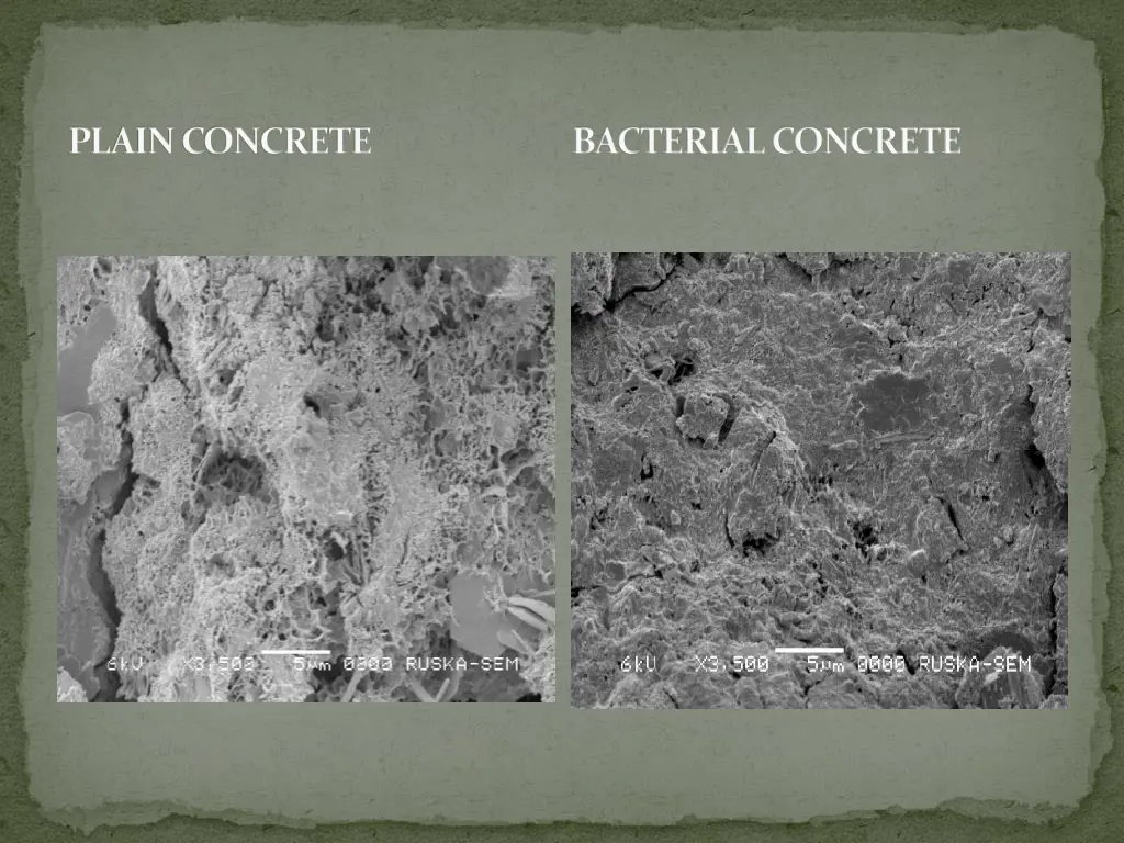 plain concrete bacterial concrete