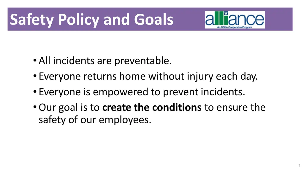 safety policy and goals safety policy and goals