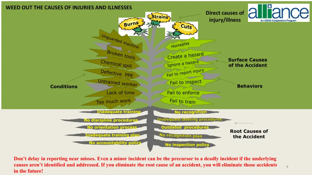 weed out the causes of injuries and illnesses