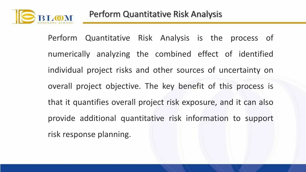 perform quantitative risk analysis