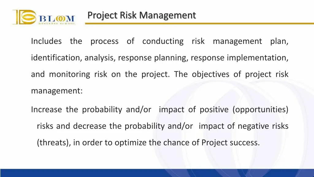 project risk management 2