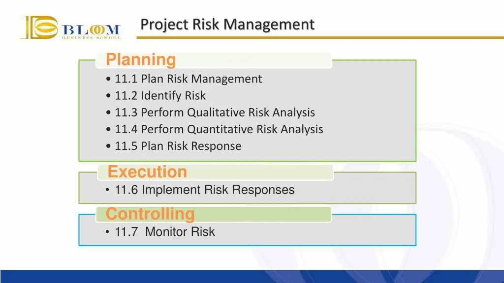 project risk management 3