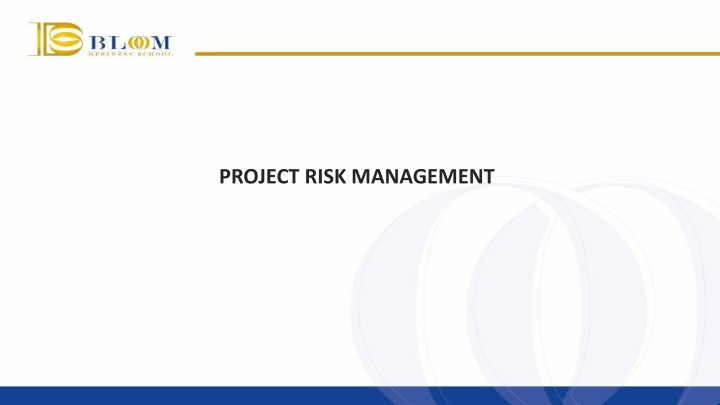 project risk management