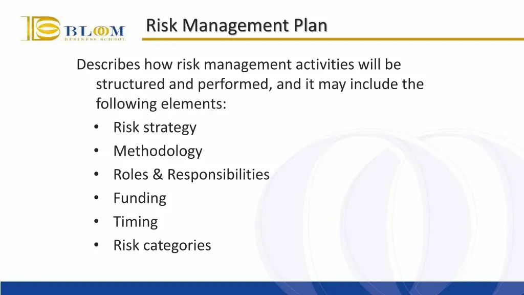 risk management plan