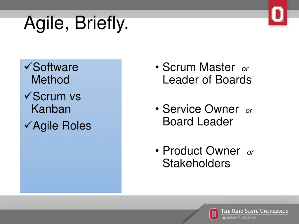 agile briefly 2