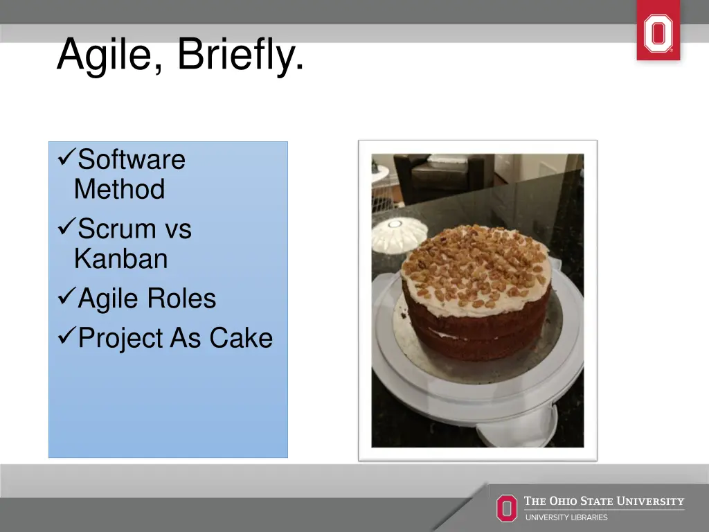 agile briefly 3