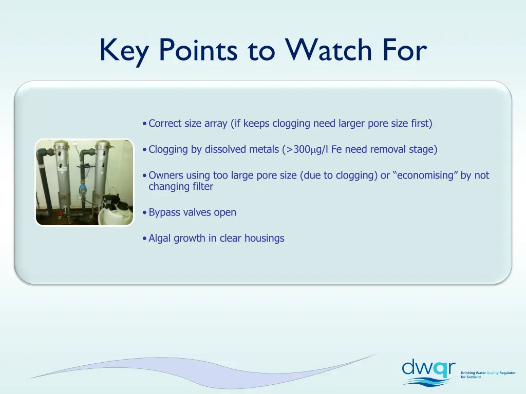 key points to watch for