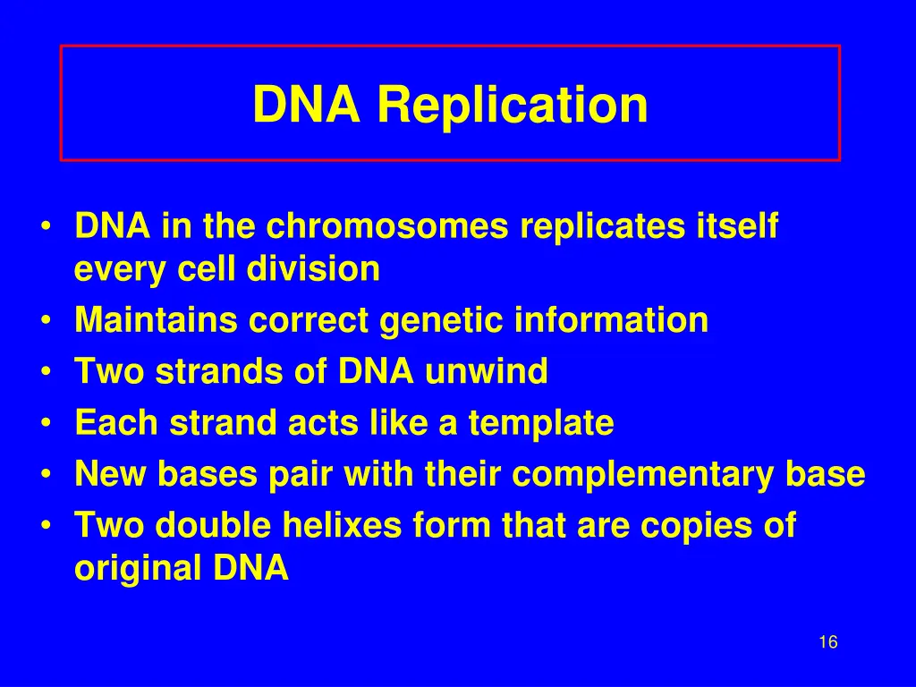 dna replication