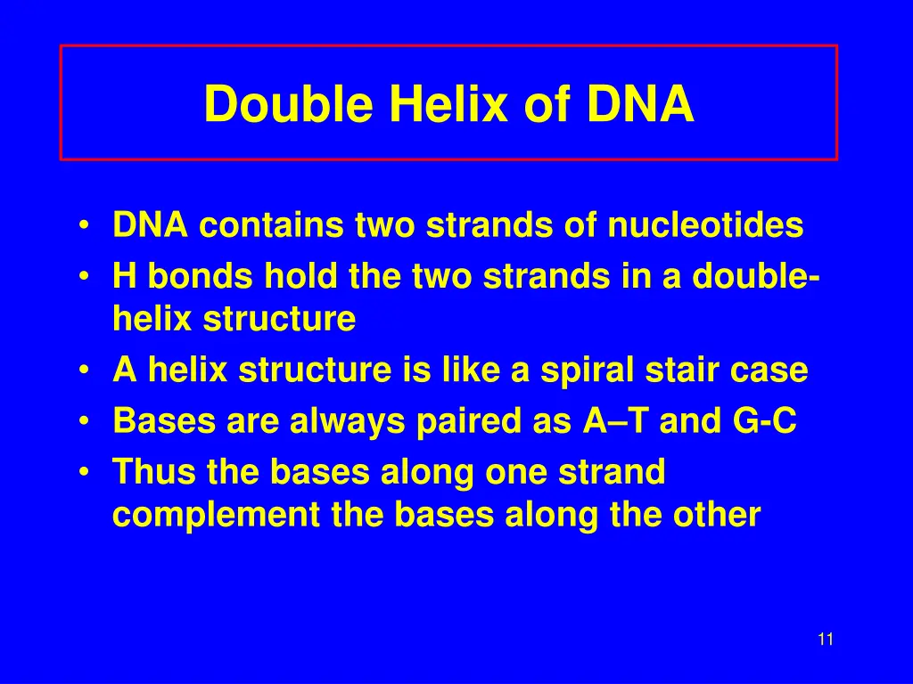 double helix of dna