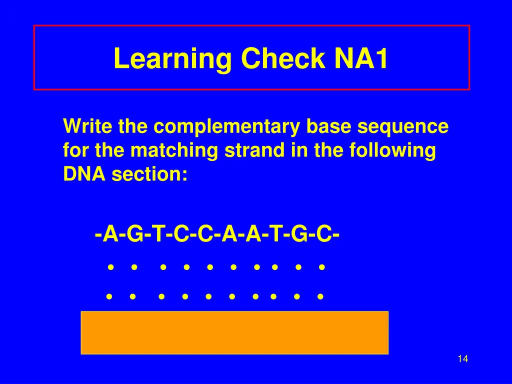 learning check na1
