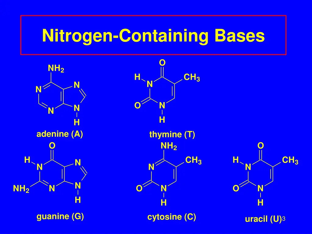 nitrogen containing bases