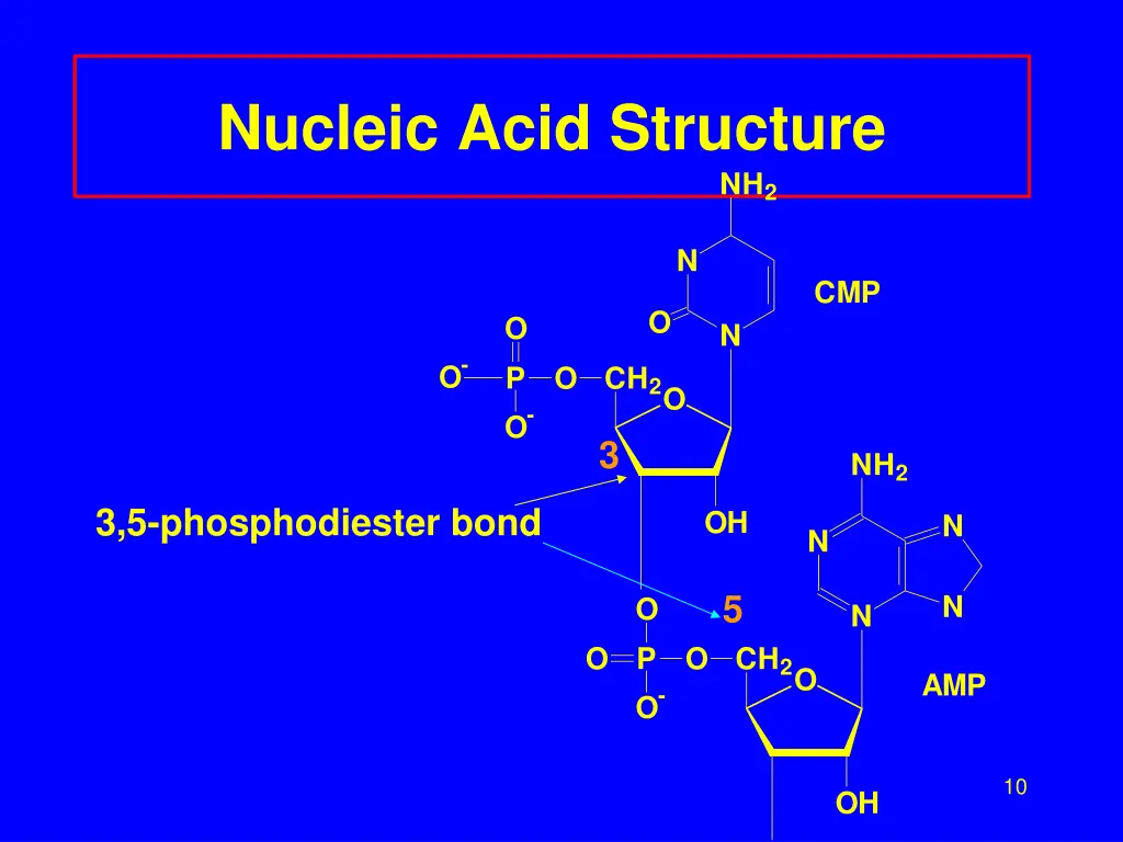 nucleic acid structure