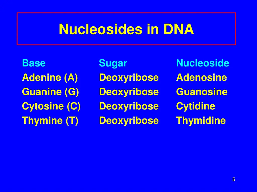 nucleosides in dna