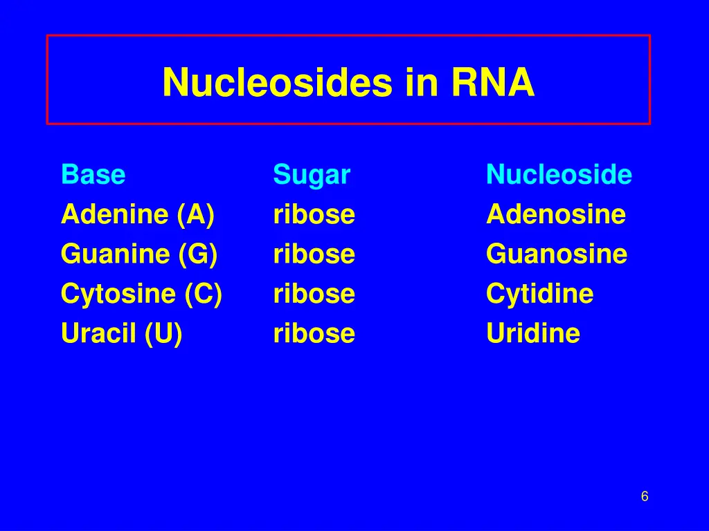 nucleosides in rna