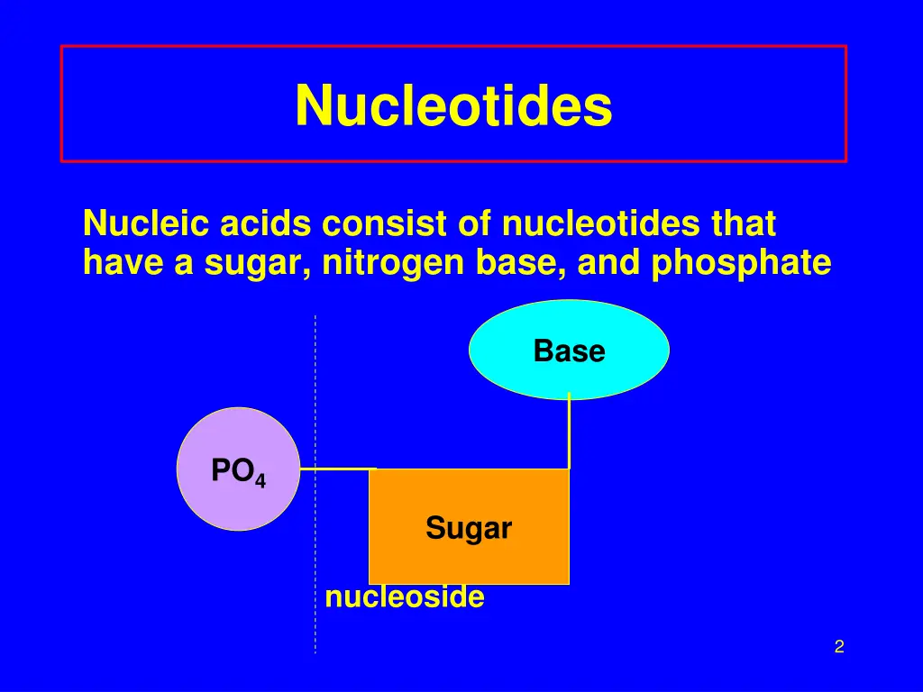 nucleotides