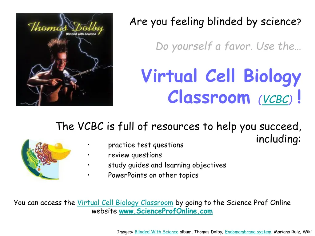 are you feeling blinded by science