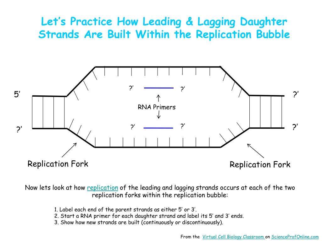 let s practice how leading lagging daughter