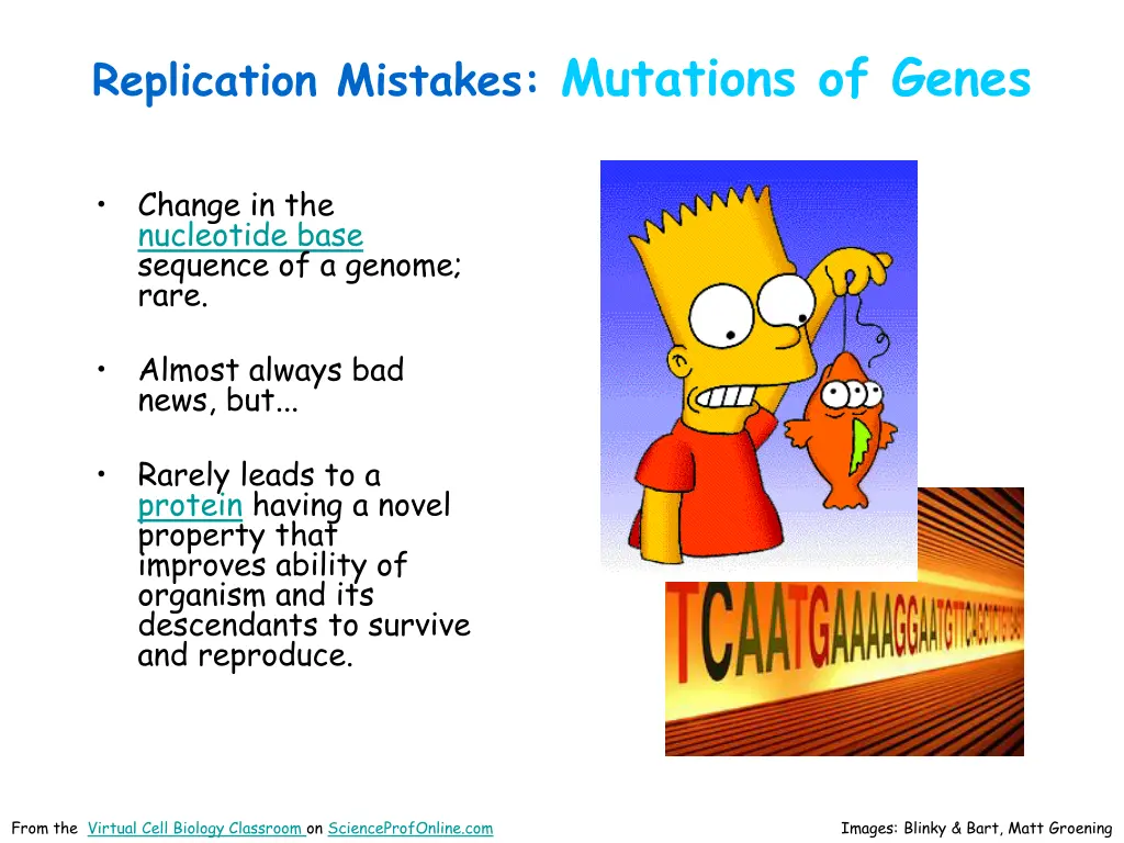 replication mistakes mutations of genes