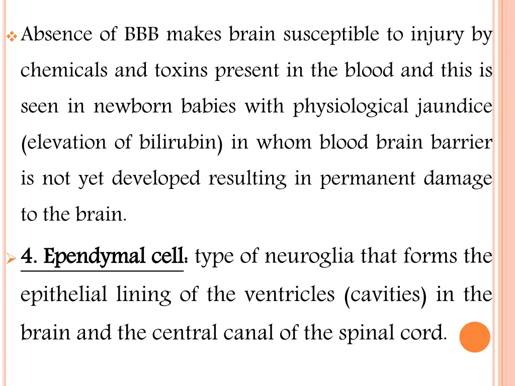 absence of bbb makes brain susceptible to injury