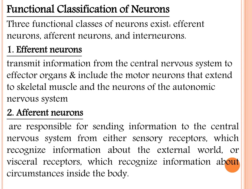 functional classification of neurons three