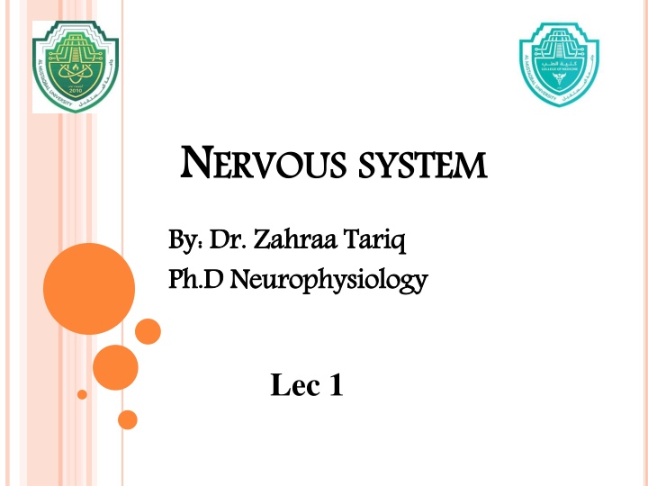 n n ervous