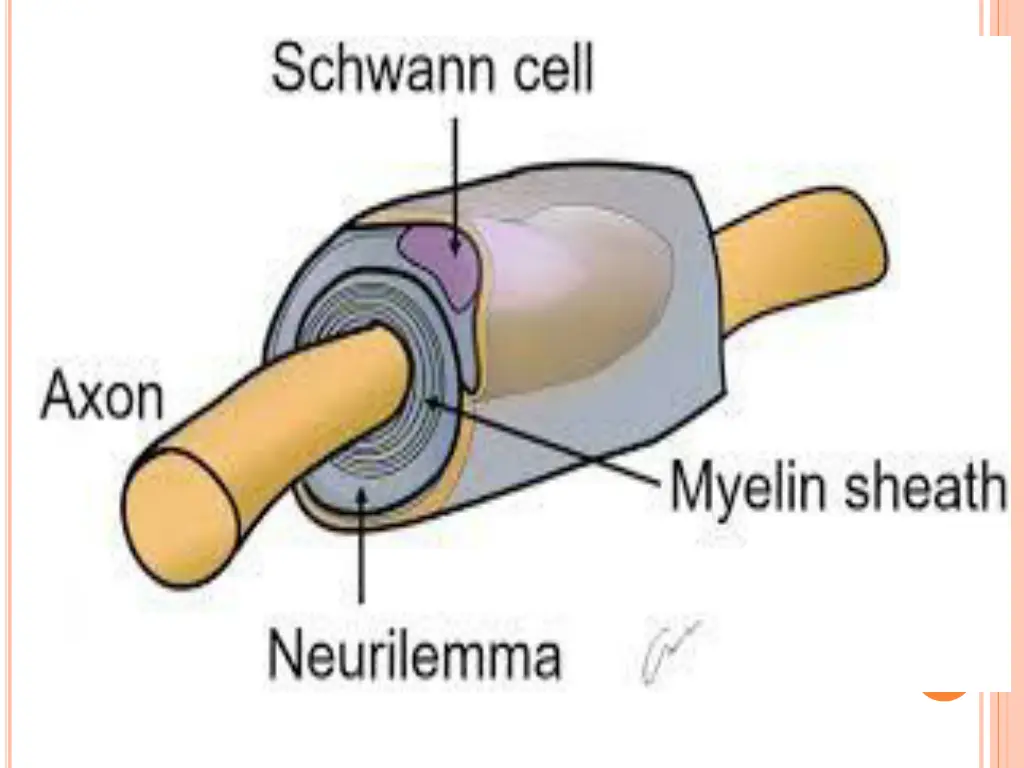 slide9