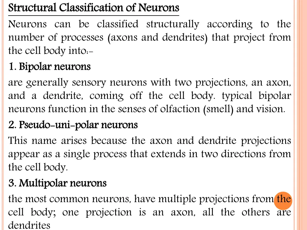 structural neurons can be classified structurally