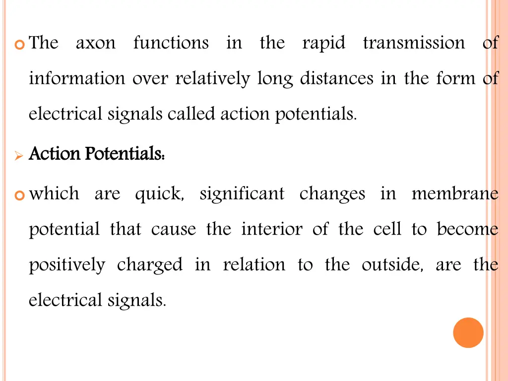 the axon functions in the rapid transmission