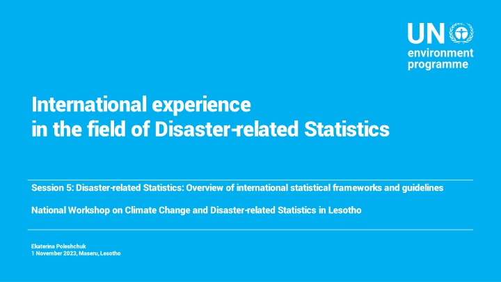 international experience in the field of disaster