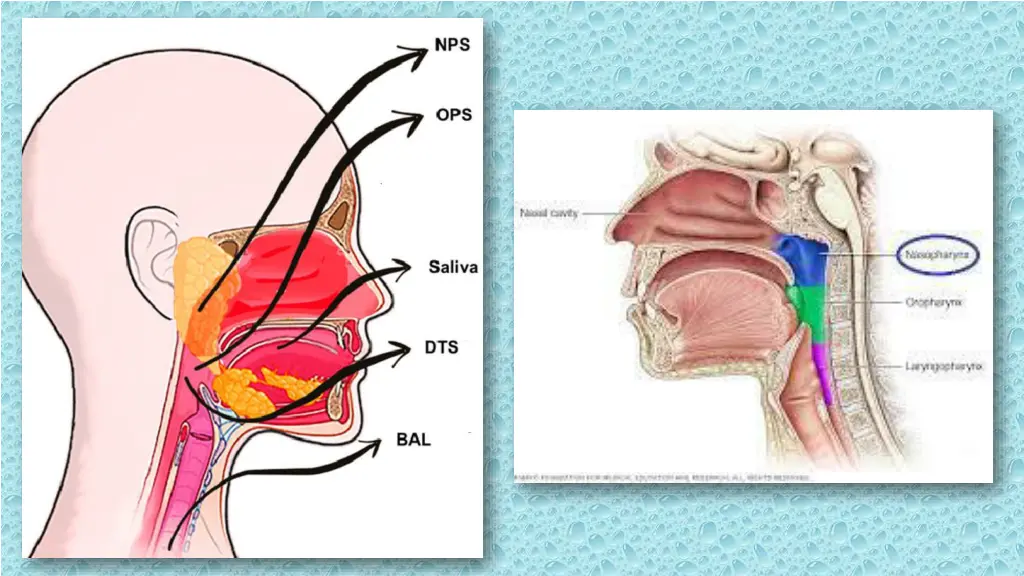 slide34