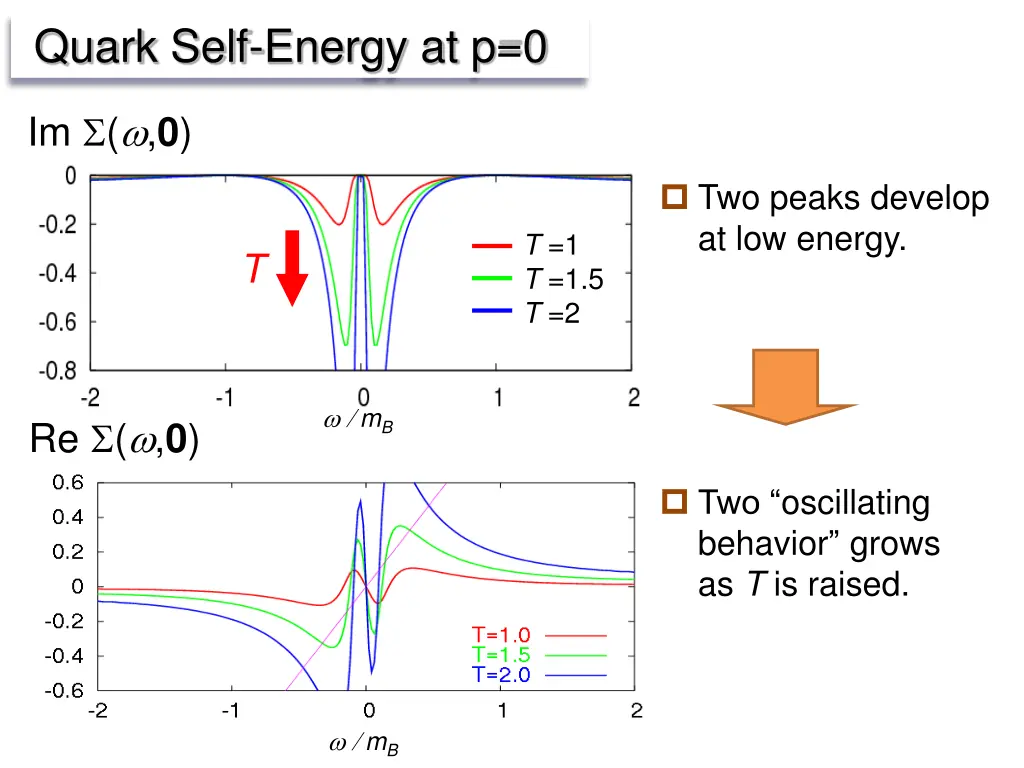 quark self energy at p 0