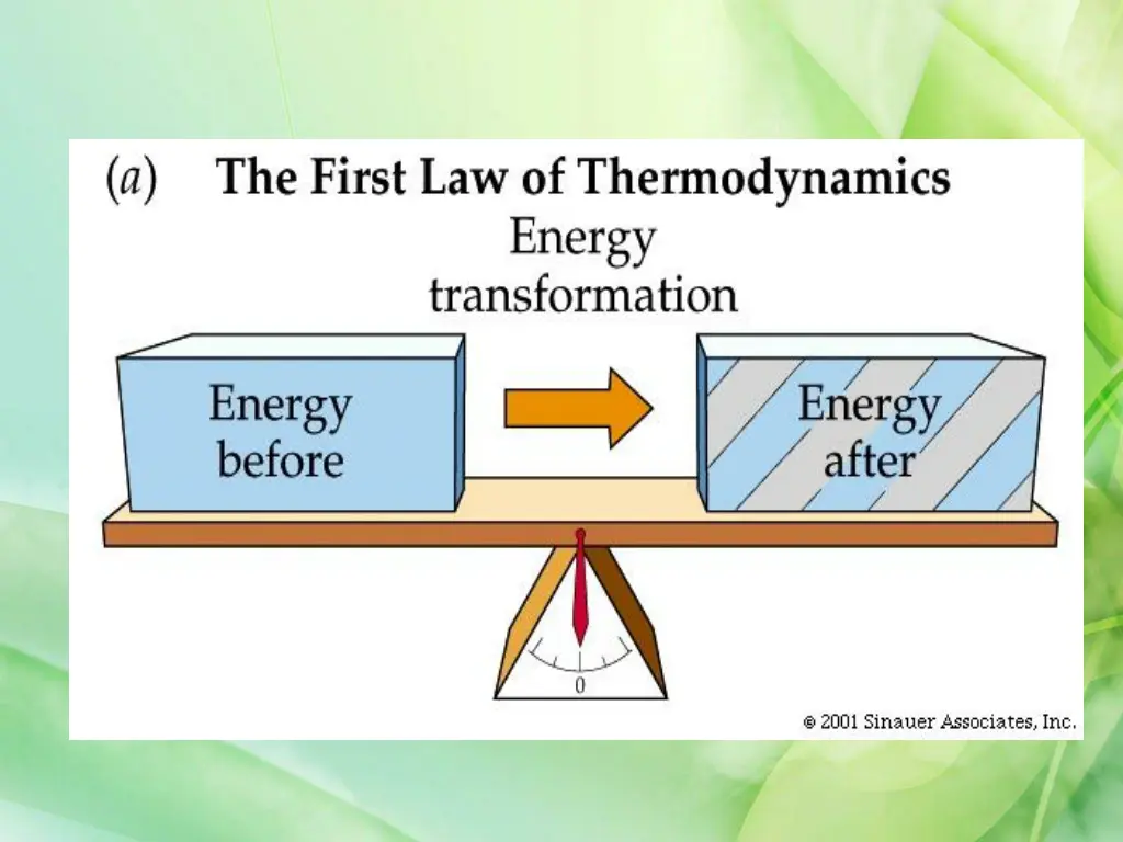 slide31