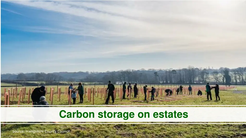 carbon storage on estates