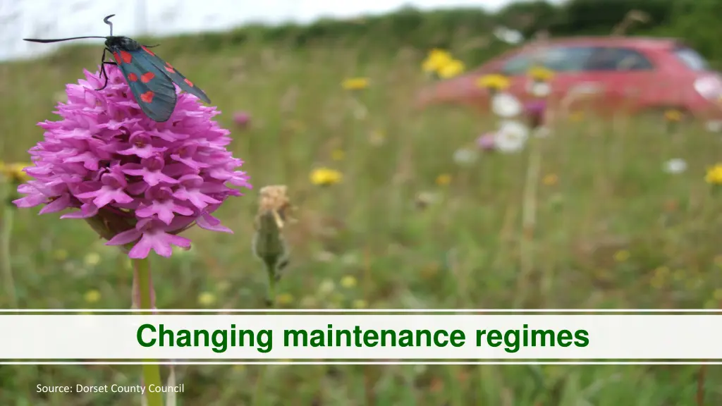 changing maintenance regimes