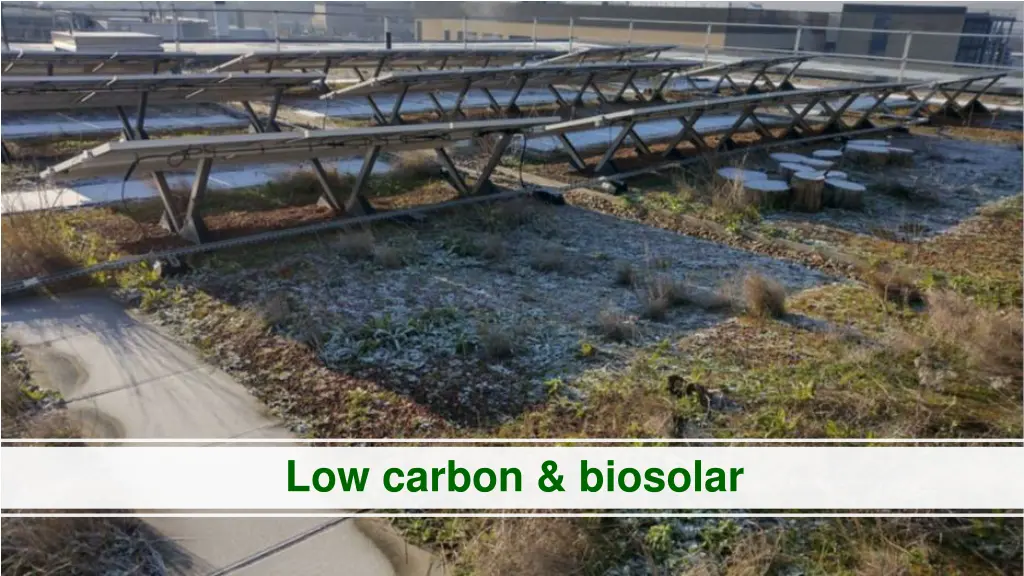 low carbon biosolar