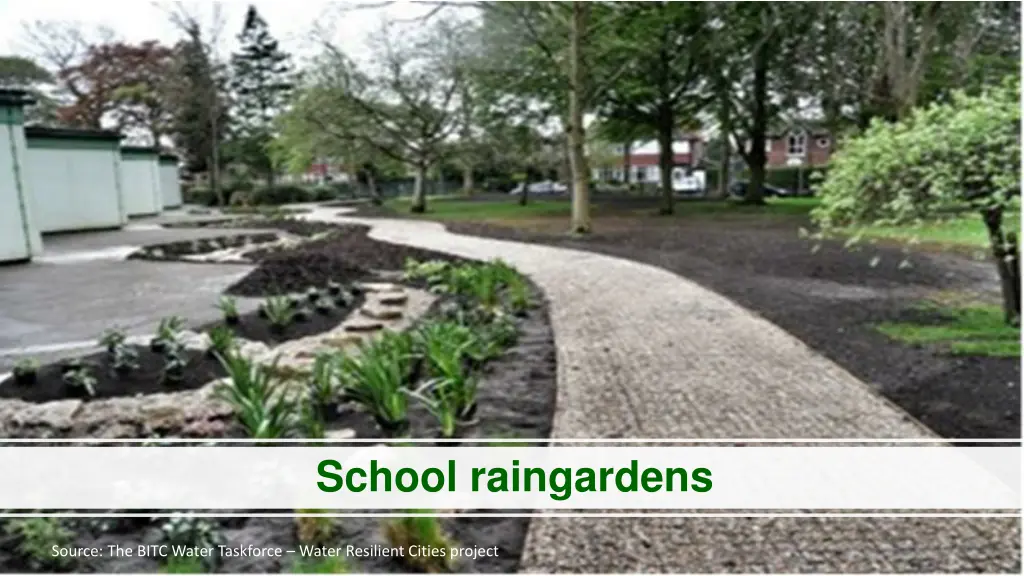 school raingardens