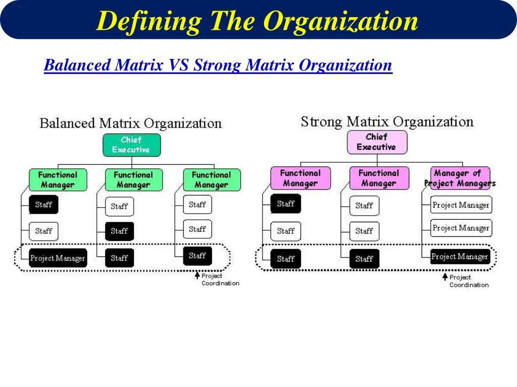 defining the organization 6