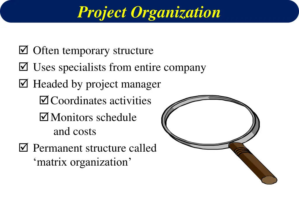 project organization