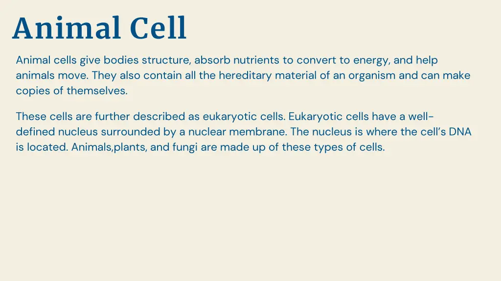 animal cell