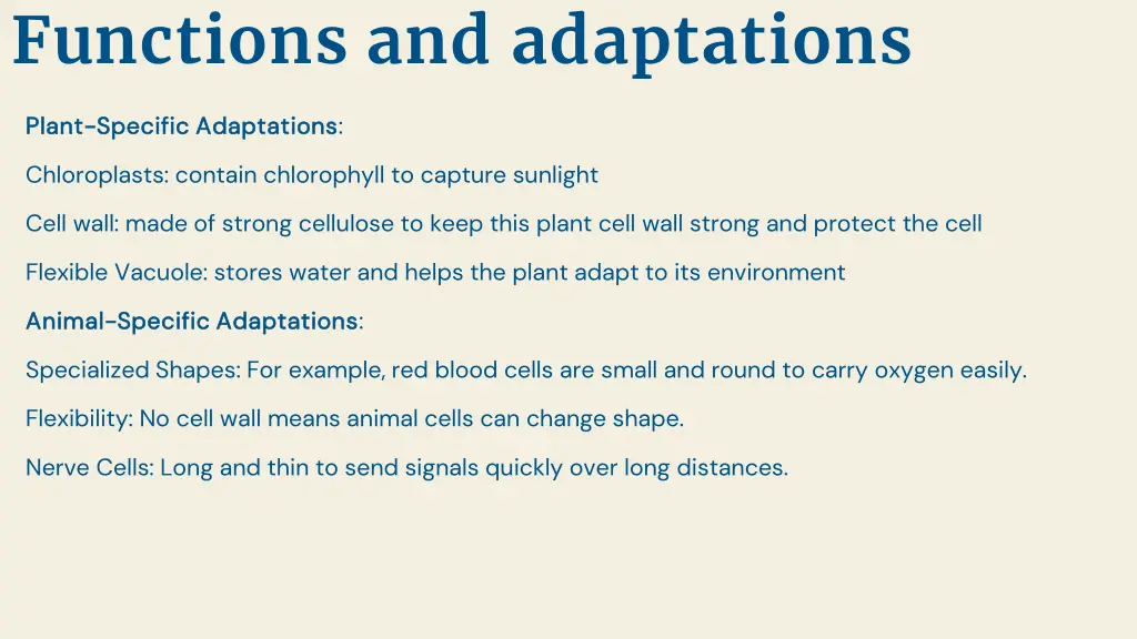 functions and adaptations 1
