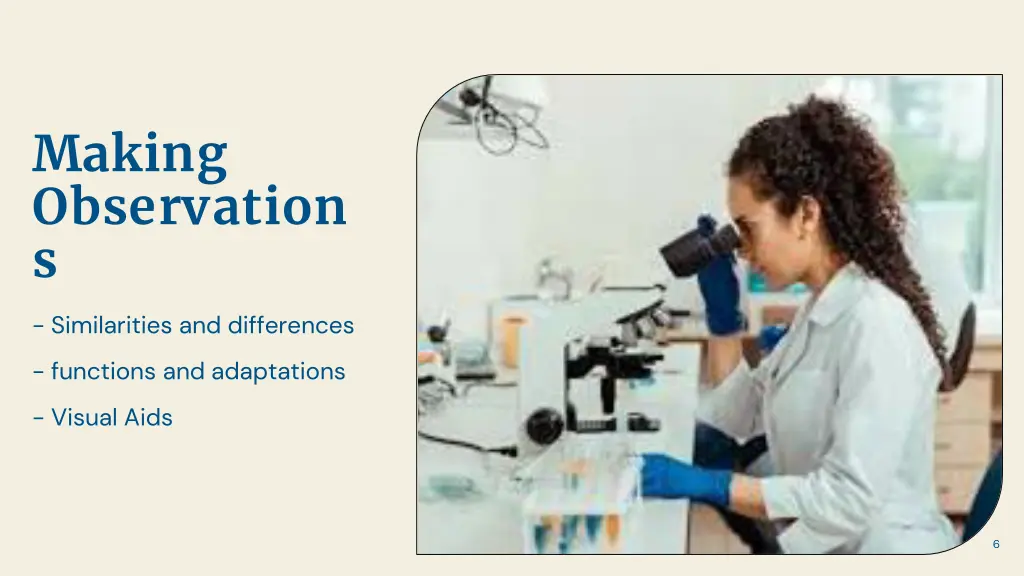 making observation s