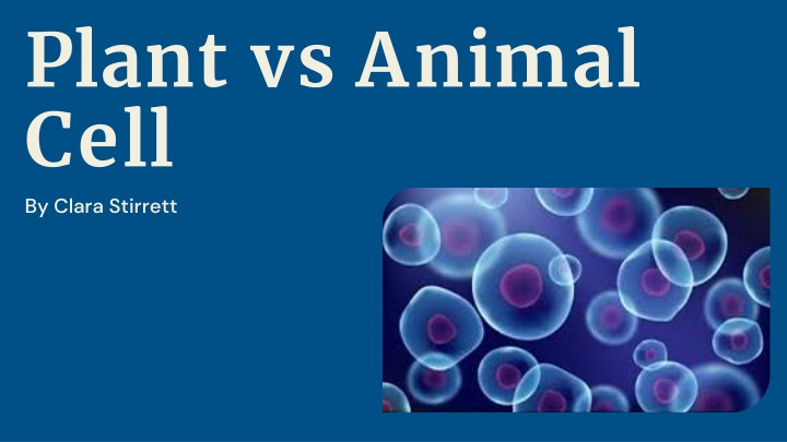plant vs animal cell by clara stirrett