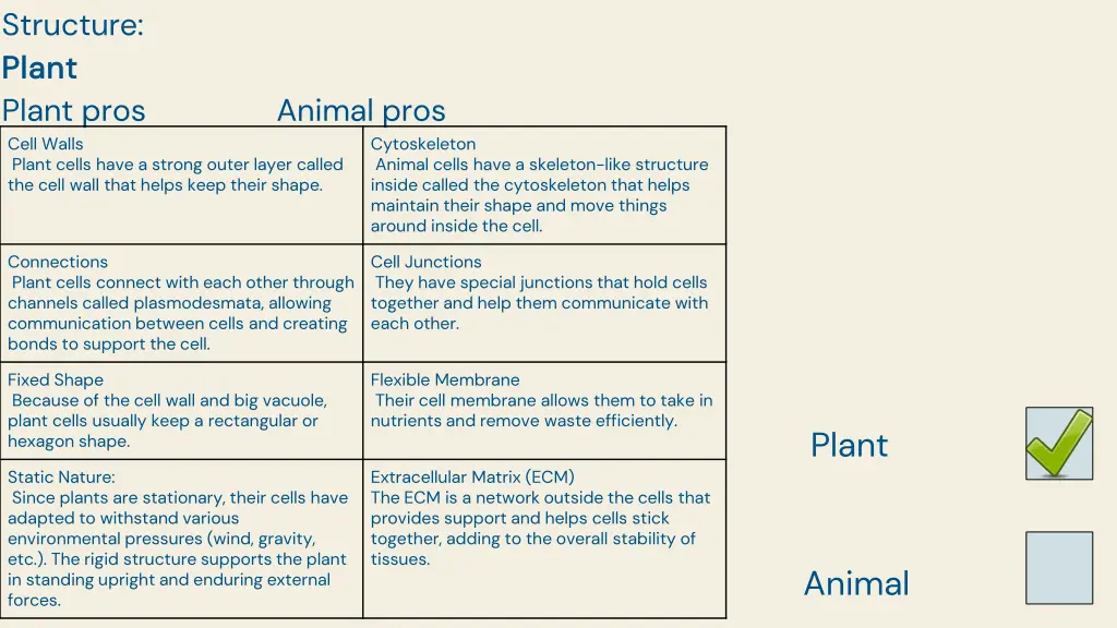 structure plant plant plant pros animal pros cell