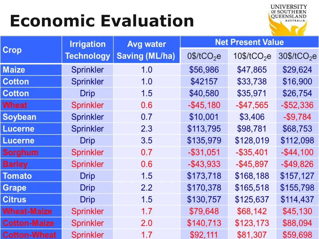 economic evaluation