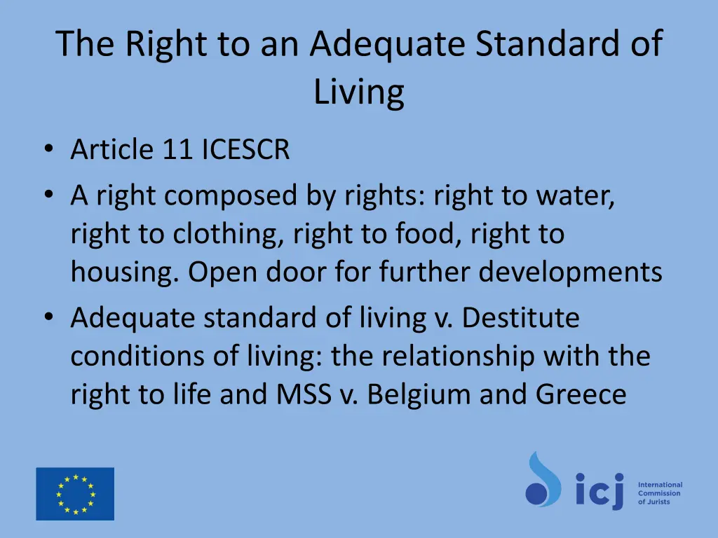 the right to an adequate standard of living