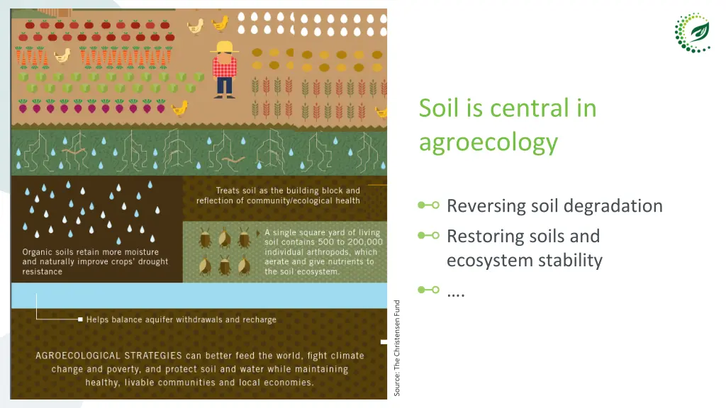 soil is central in agroecology